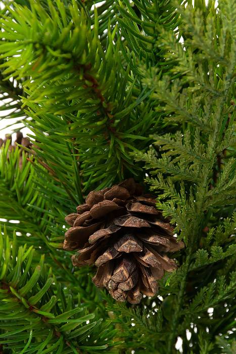 17" Pine/cone Cedar Bush Green