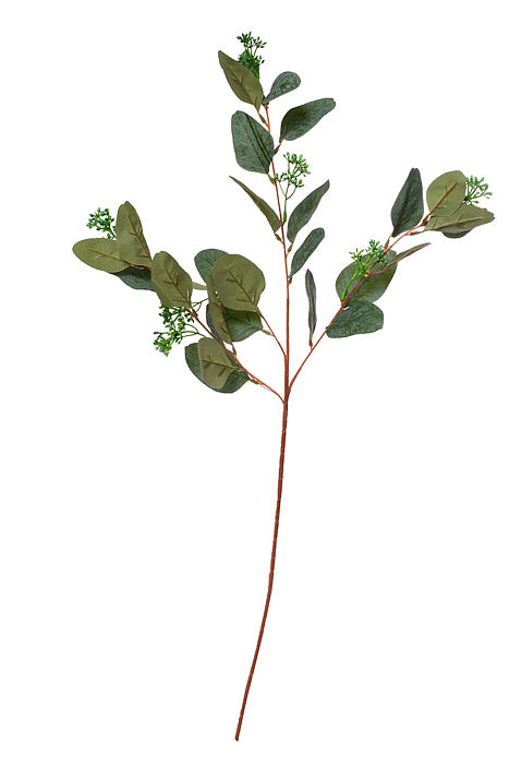 32" Eucalyptus Spray Green