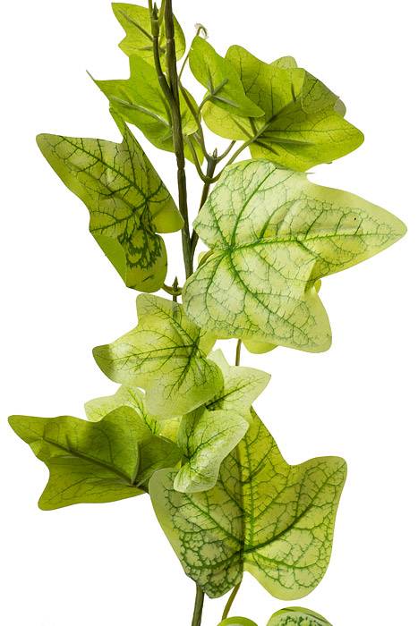 6ft English Ivy Garland Lt Green