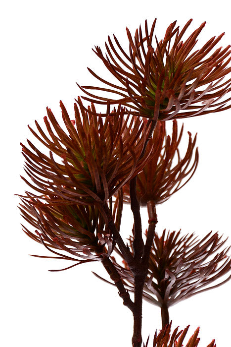 37" Thistle Spray Green/Burgundy