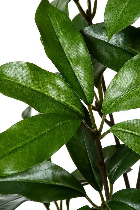 24" Laurel Spray Green