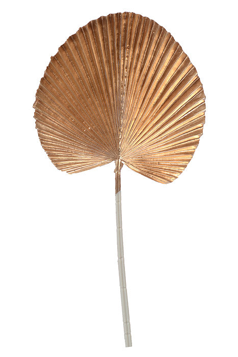 21.5" Fan Palm Leaf Stem Natural Gold