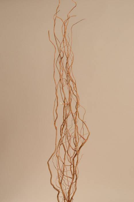 Curly Willow Deluxe Natural Pkg/6