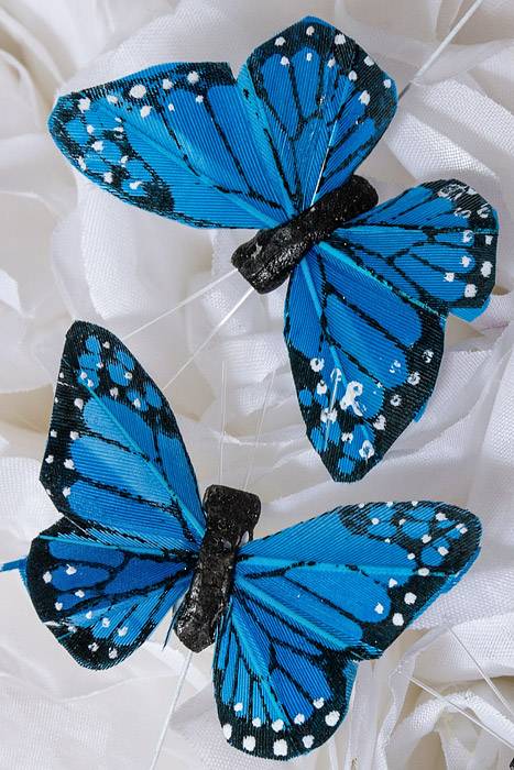 2" Butterfly Blue Pkg/12