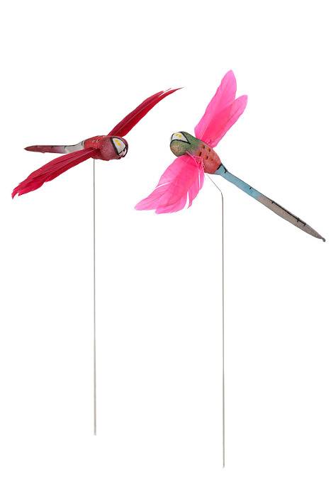 3.25" Dragonfly W/Wire Box-12 Assorted