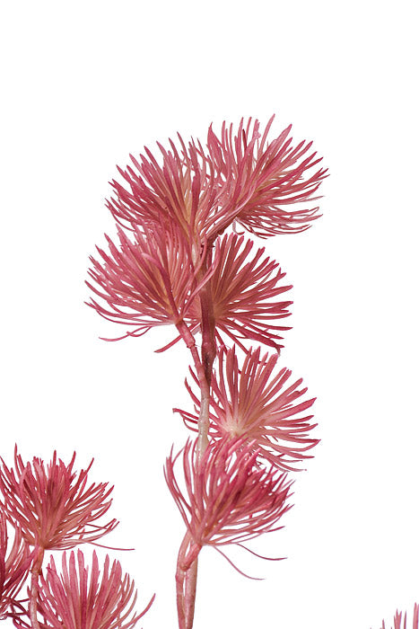 37" Thistle Spray Cerise