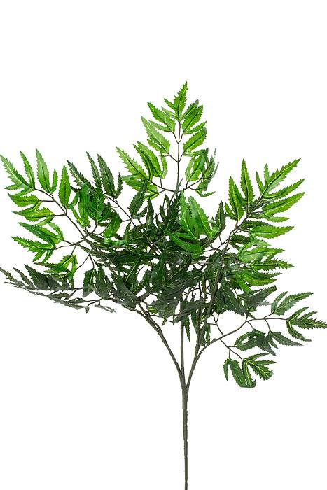 21" Aralia Spray Green