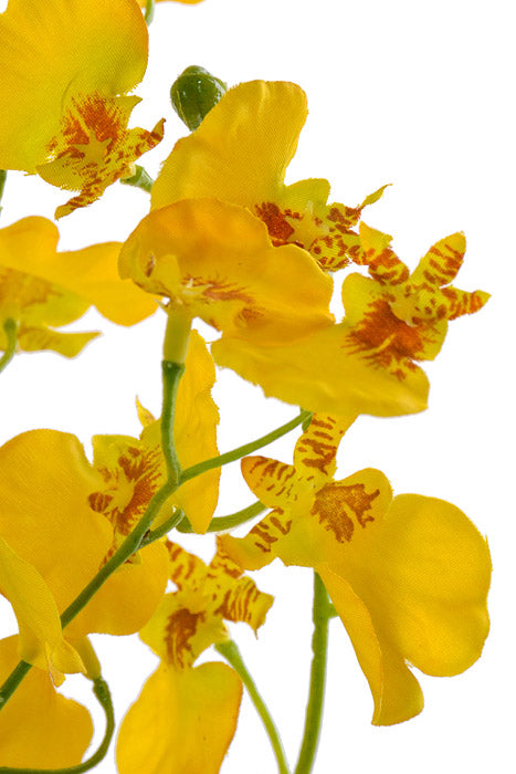 31.5" Silk Oncidium Orchid Spray Yellow