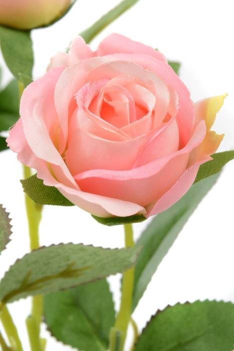 16.5" Rose Spray Pink