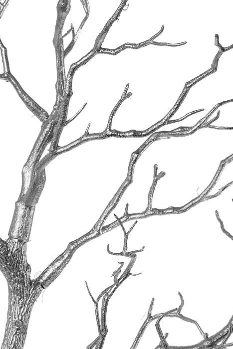 37.5" Manzanita Branch Silver