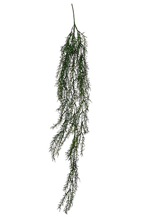 33" Rosemary Hanging Bush Green