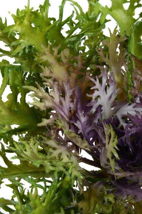 9" Cabbage Spray Green/lavender