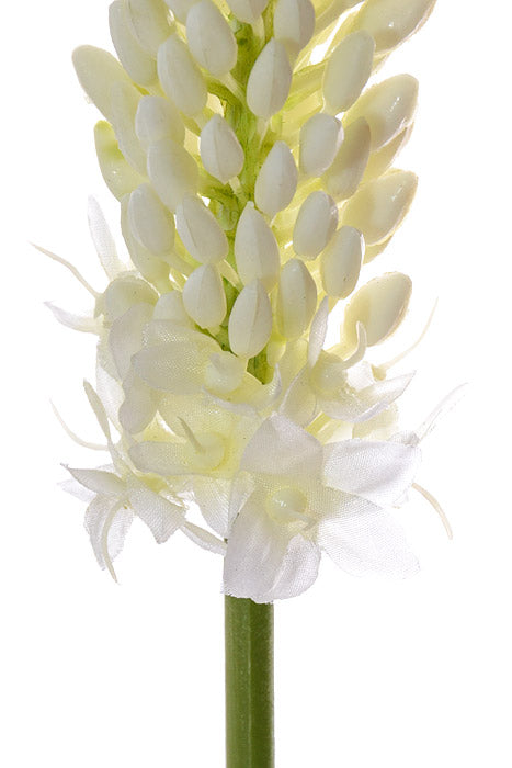 33" Foxtail Lily Spray White/Green