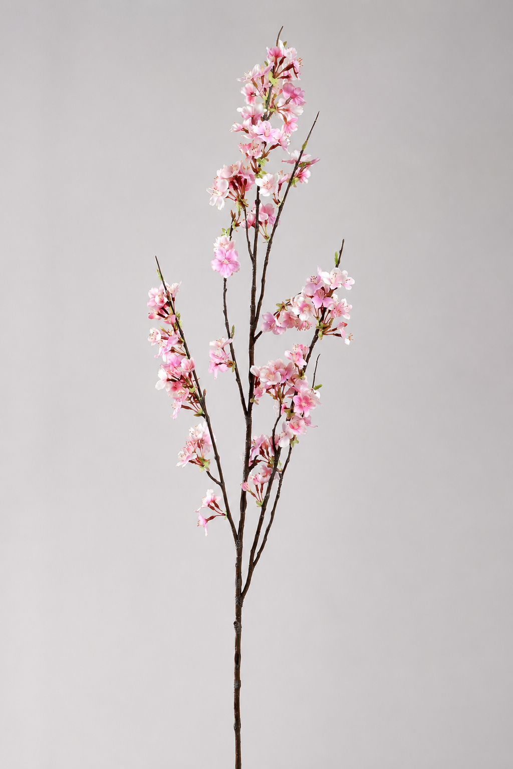51" Silk Cherry Blossom Spray Pink/cream