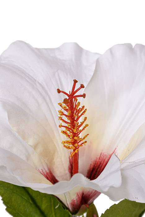 26" Silk Hibiscus Spray White/beauty