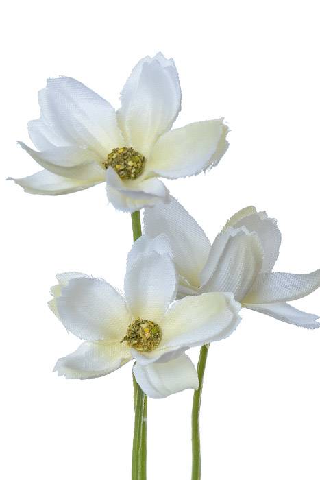 27" Silk Mini Cosmos Spray White