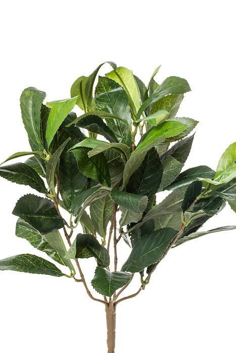 16" Laurel Leaf Bush Green