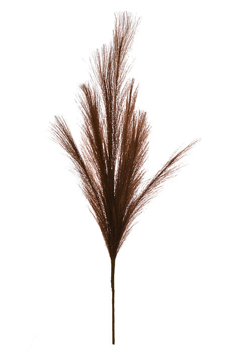 28" Plume Spray Brown