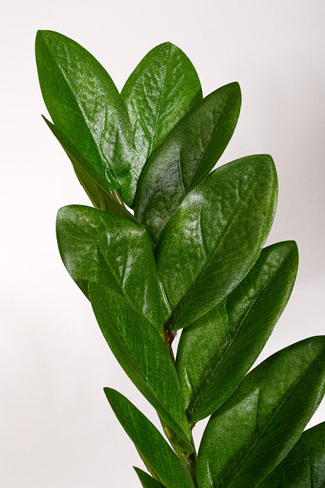 43" Artificial Zamifolia Bush W/Pot Green