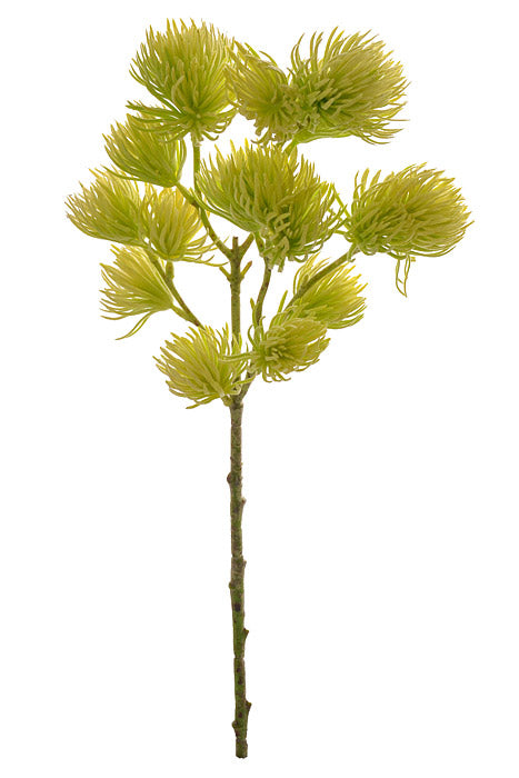 19" Thistle Spray Green