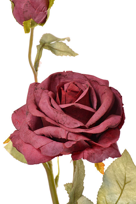 28.5" Silk Rose Spray Beauty