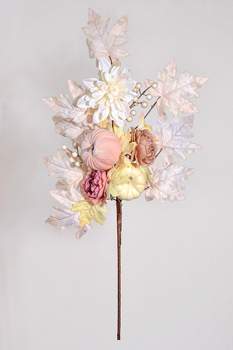 30" Pumpkin Dahlia Rose Cream/Pink