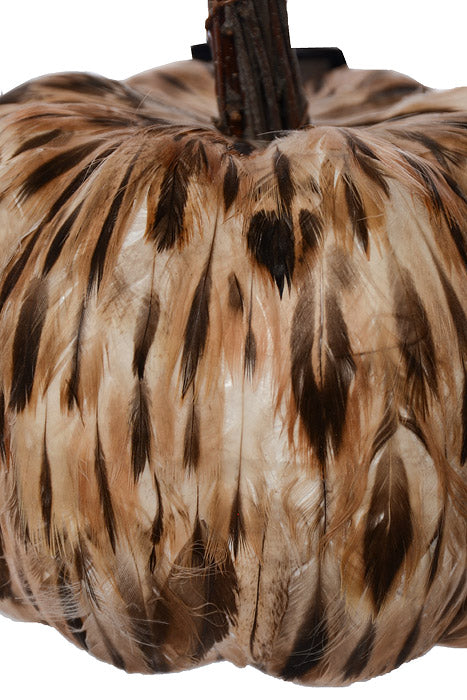 5.5" Natural Feather Pumpkin Brown