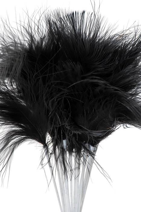 7" Feather Picks Black Pkg/12