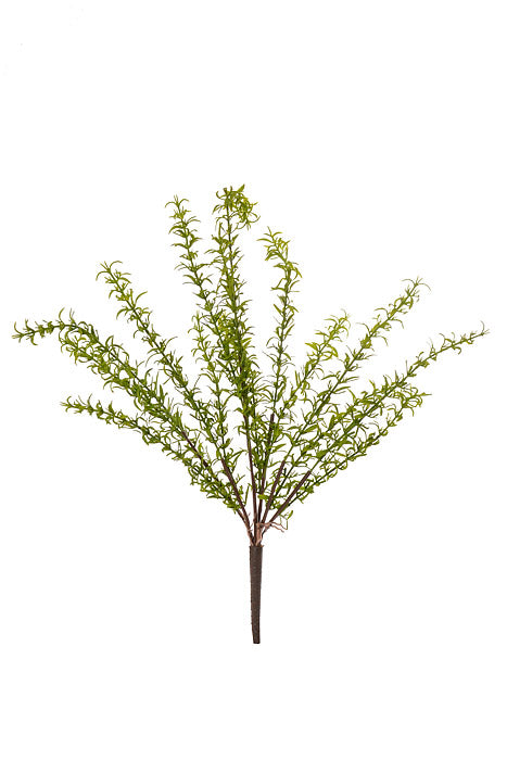 17" Thyme Bush Green