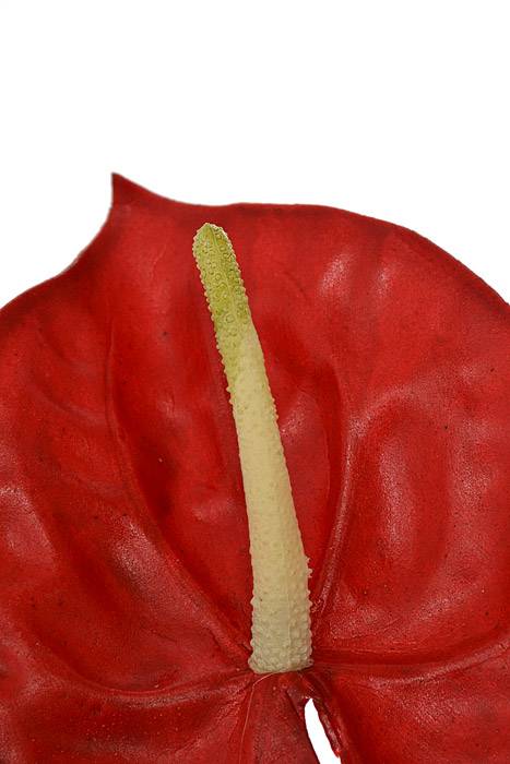 24" Artificial Anthurium Spray Red