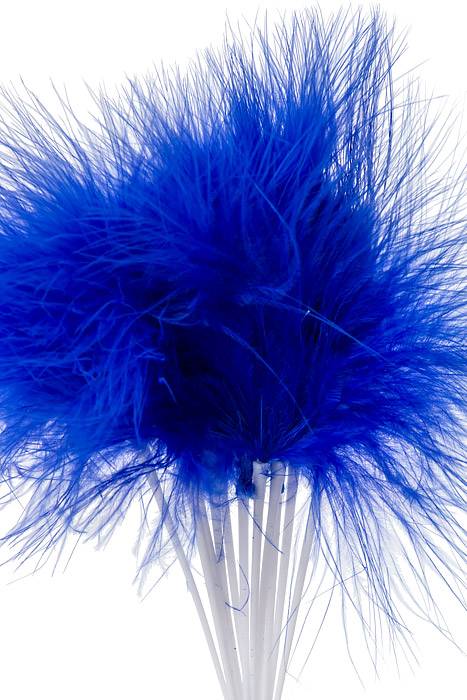7" Feather Picks Royal Blue Pkg/12