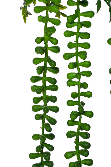 37.5" Bead Succulent Hanging Spray Green