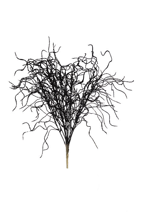 20" Glitter Wild Grass Bush Black