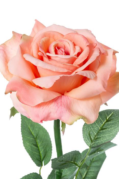 26" Diana Rose Spray Salmon