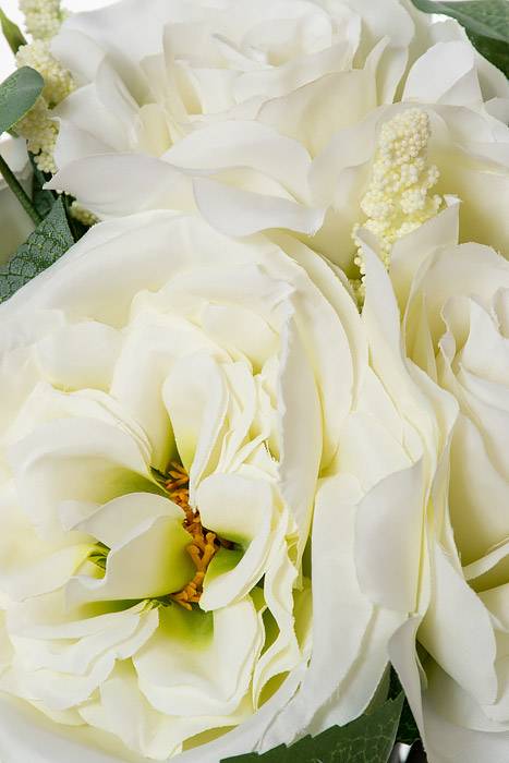 14" Rose Cabbage Rose Cream