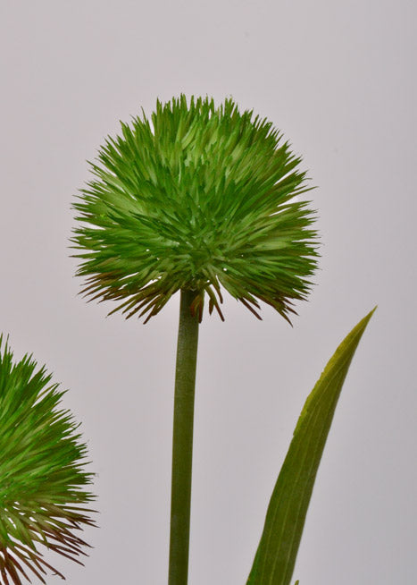 24" Artificial Allium Spray Green