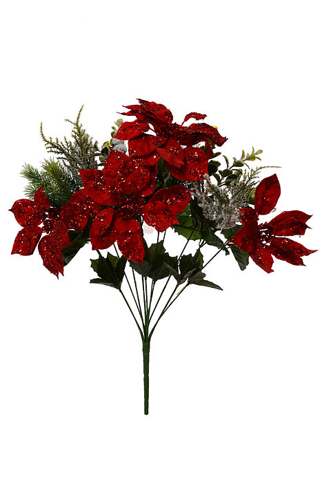 19" Mixed Poinsettia Pine Eucalyptus Red/Green