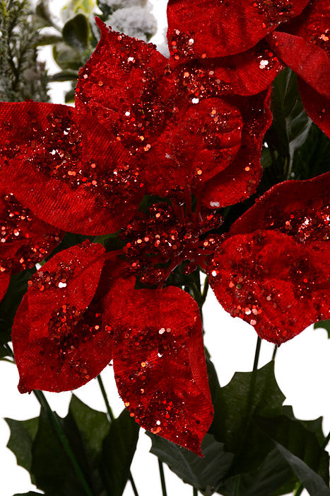 19" Mixed Poinsettia Pine Eucalyptus Red/Green