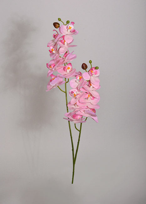 22" Silk Phalaenopsis Pink