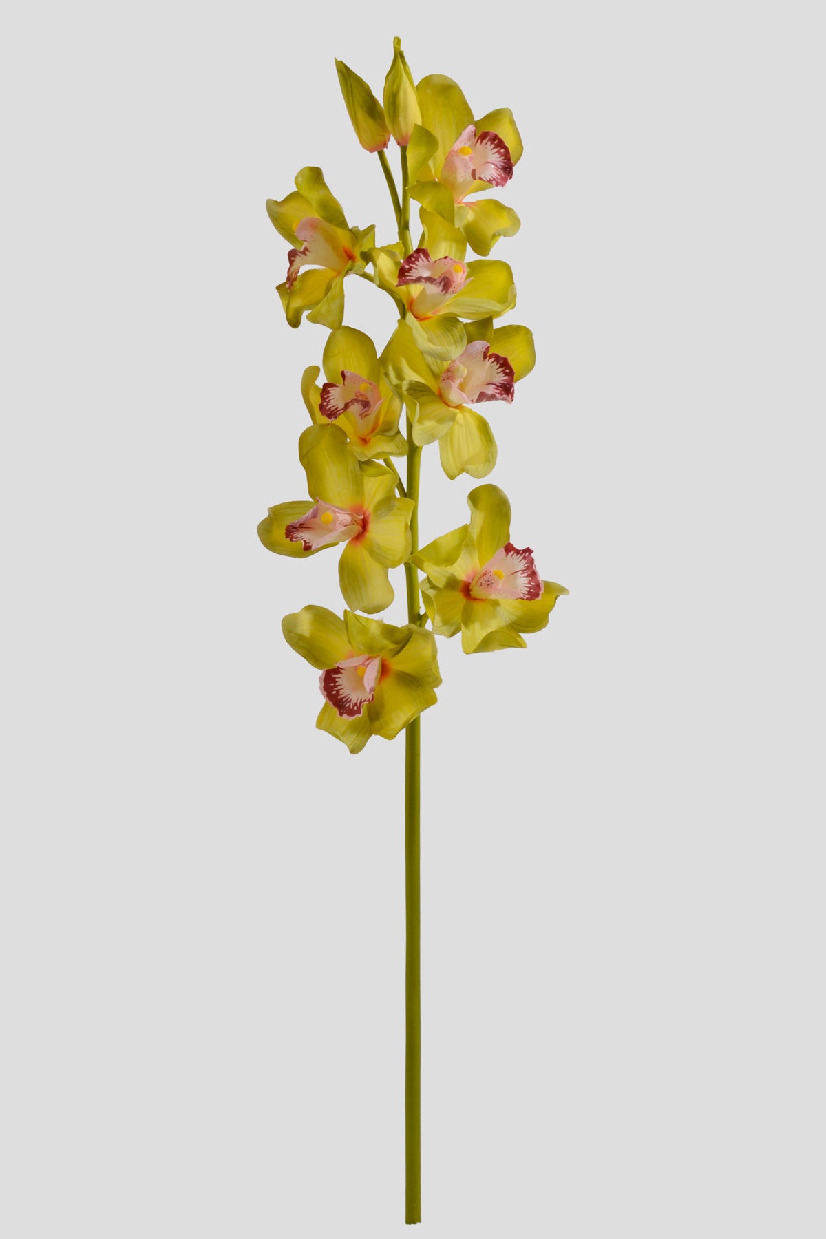 30" Silk Cymbidium Orchid Stem Green
