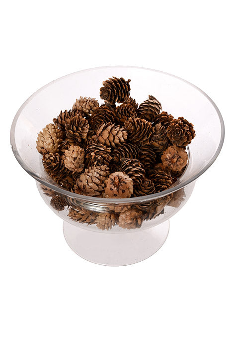1-2" Mini Pine Cone Natural Pkg/0.5Lb