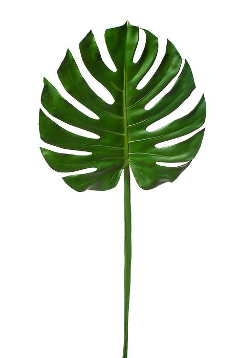 41" Monstera Leaf Spray Green