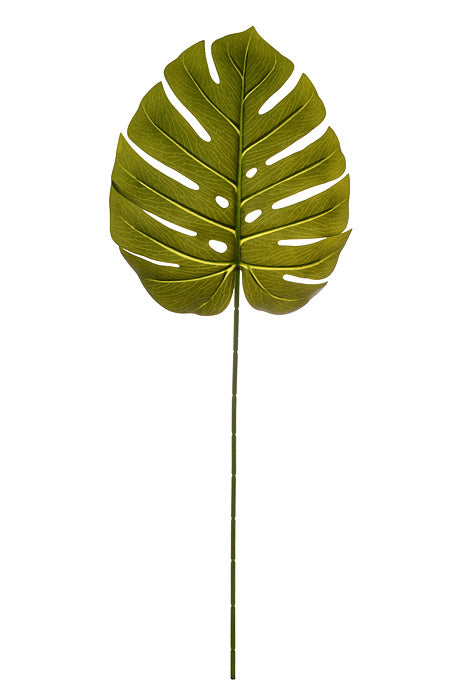 30" Single Large Monstera Green