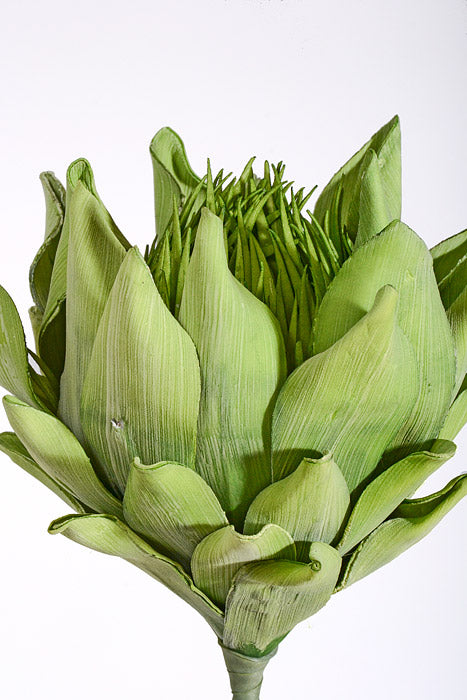 35" Artificial Protea Foam Spray Green