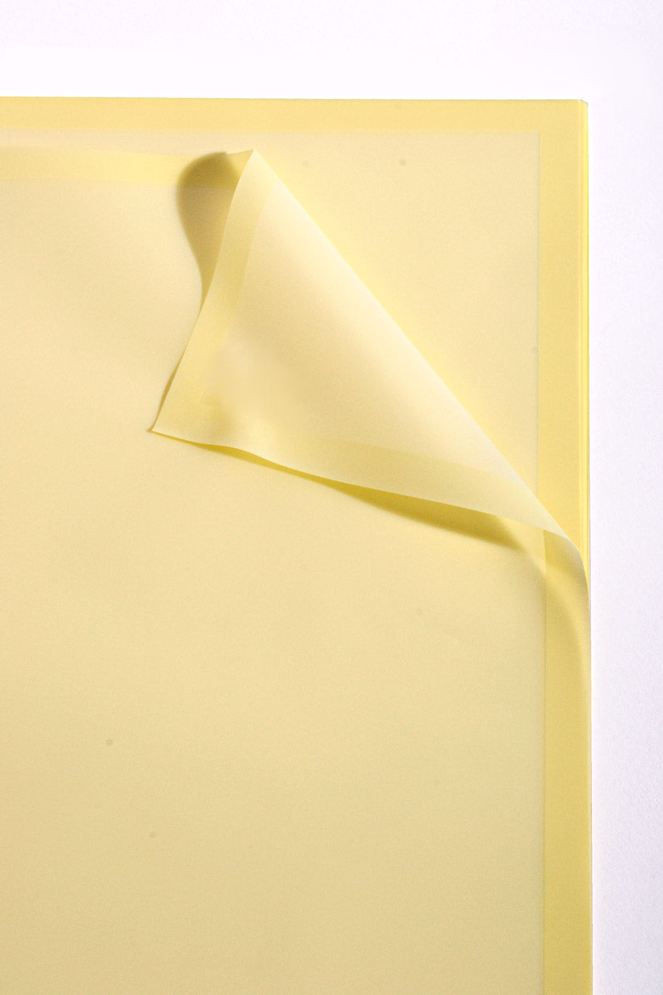 22.5" Flower Wrapping Paper W/Edge Yellow Pkg/20