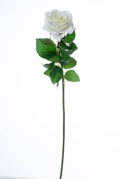 27.5" Silk Confetti Rose Spray Cream