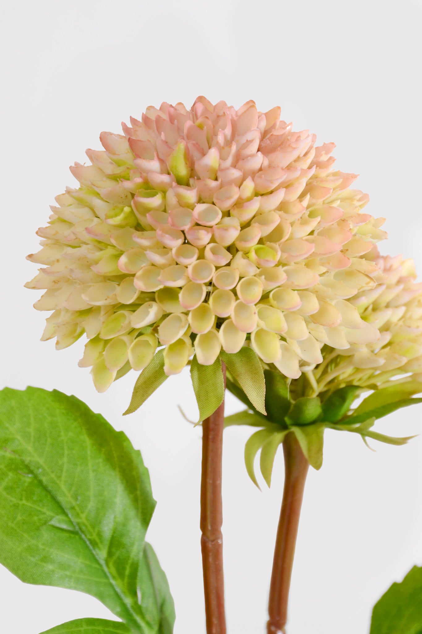28.5" Artificial Dahlia Spray Pink Soft