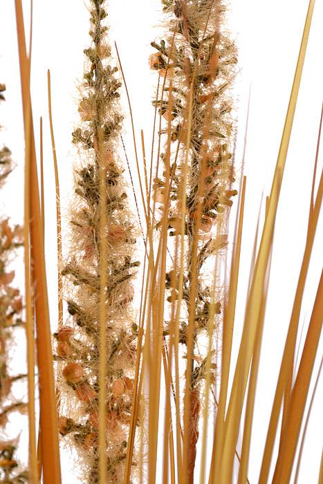 28" Plastic Millet Grass Bush Mustard