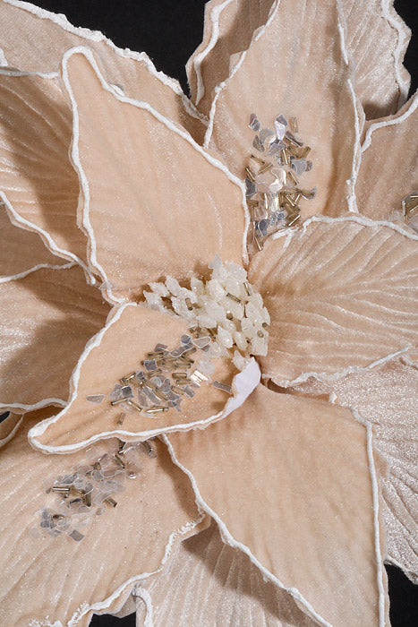 23.5" Glitter Poinsettia Stem Cream