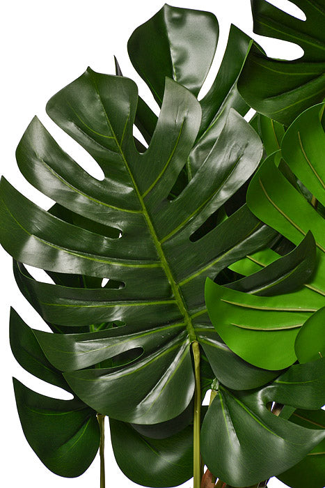 43" Monstera Leaf Tree In Pot Green